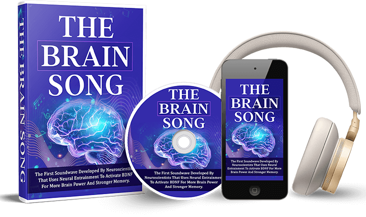 Brain Song audio program